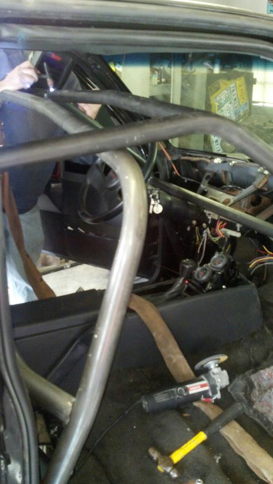 cage5.jpg